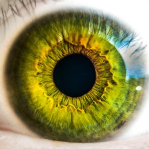 read more books eye