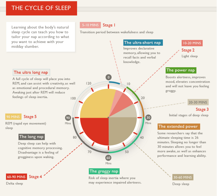 napping-swissotel-infographic