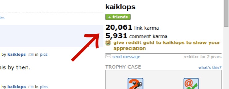 looking at Reddit user's karma for your SEO linking strategy