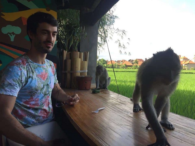 Digital nomad lifestyle in bali