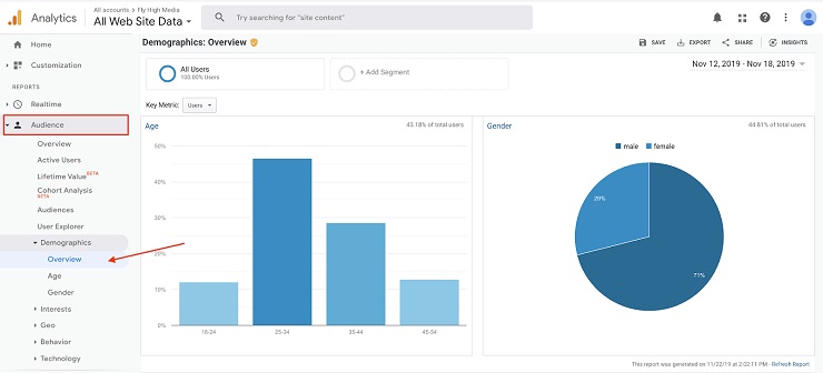 google analytics Demographics overview