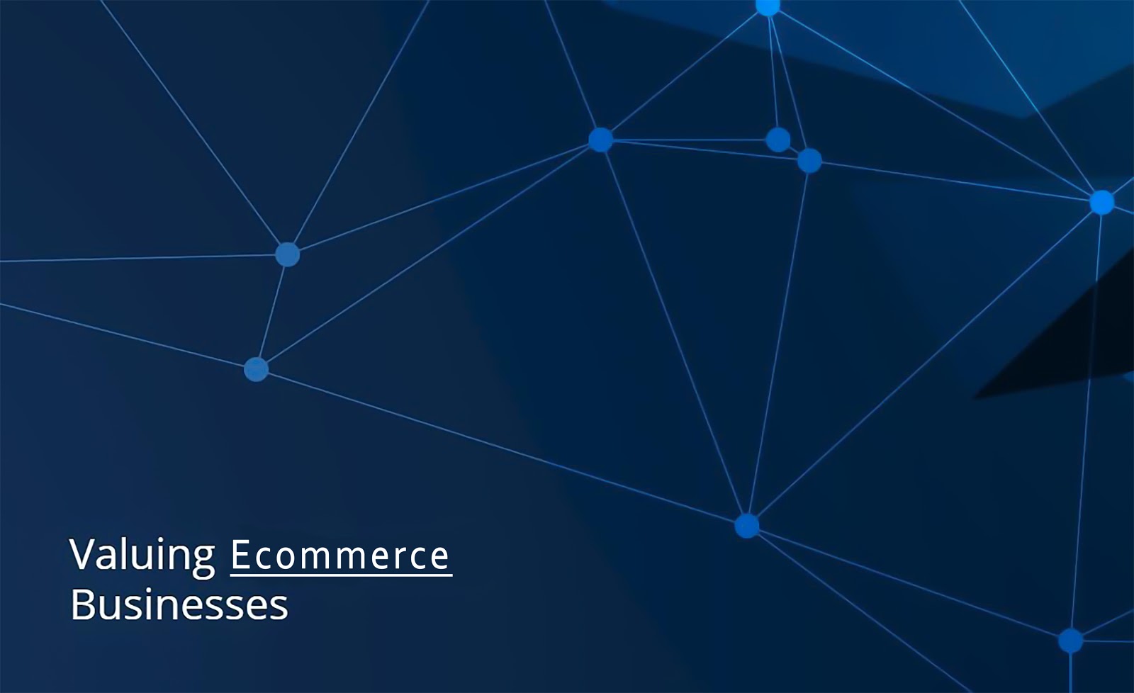 Valuing Ecommerce Businesses